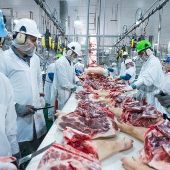 usda inspected facility